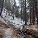 INTO NATURE