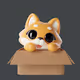 Shiba inu kati