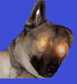 MoonHoundz