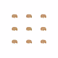 Just  tardigrade