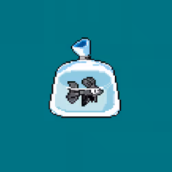 Item Media Placeholder