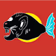 FishRace