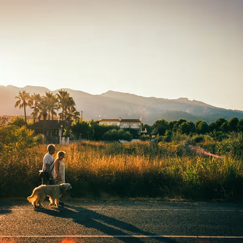 Summer Memories EDITION