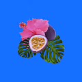 Vapor JD