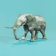 Crypto Lowpoly Club