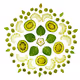 Natures Mandalas