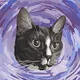 Immortal Cats