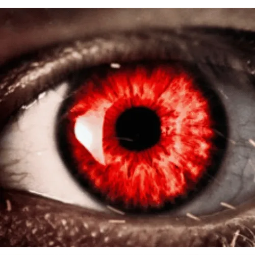 Longshot & Ex's Thought Provoking Collection