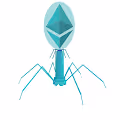 EtherCovid