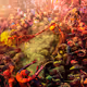 Riot of Colors V3