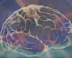 The Neurologist