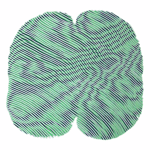 Ripplescapes
