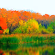 COLORS FALL