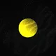 SpaceGoo