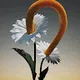 The Fleur by Ondrej Zunka