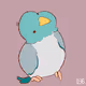 [ Cutie ] Forpus - old