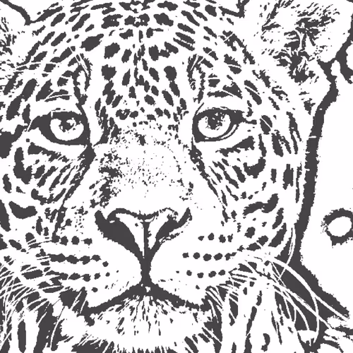 animals_ from_ Brazil