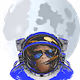 Cool Astronaut Monkeys