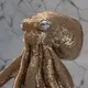 3D Octo Tokens