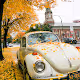 The Falls of Autumn