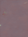 Nuked Nations