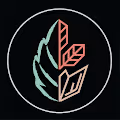 Leafy Geometry