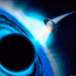 项目媒体占位符