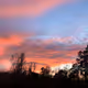 Gods canvas