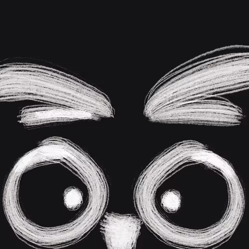 The night of owl