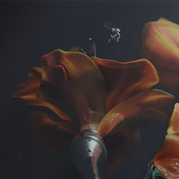 Transcendent Bloom Edition