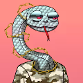 Reptiles Snake