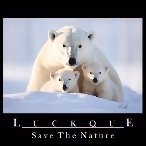 Luckque II