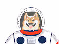 Doge in outerspace