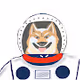 Doge in outerspace