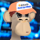 BitcoinApeMiladys