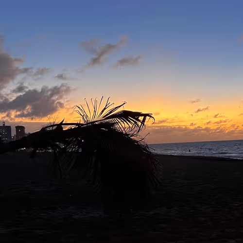 Virtual Gallery Placeholders