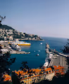 The Monaco Collection