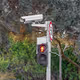 Jaywalking Frames
