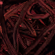 Wormholes - Bitcoinski x Props
