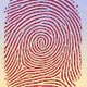 ScryptoPrints