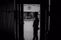 RobZeigler