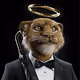 Big Cats Collection Official - old