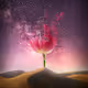 Essence flow