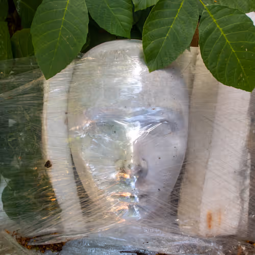 Berlin Mysterious Faces