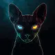 darkcats