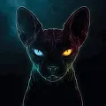 darkcats