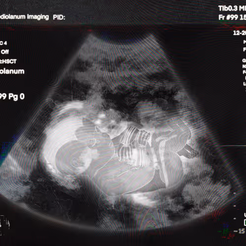 Life Bidder's Edition