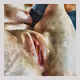 Lucious Lips
