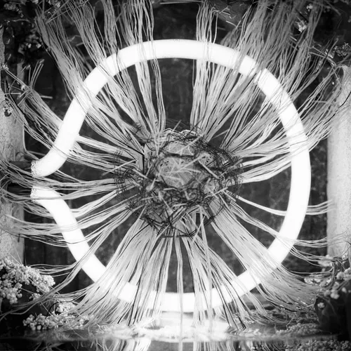 Symplasma Experiment by Pawel Grzelak