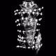 Binding Lights